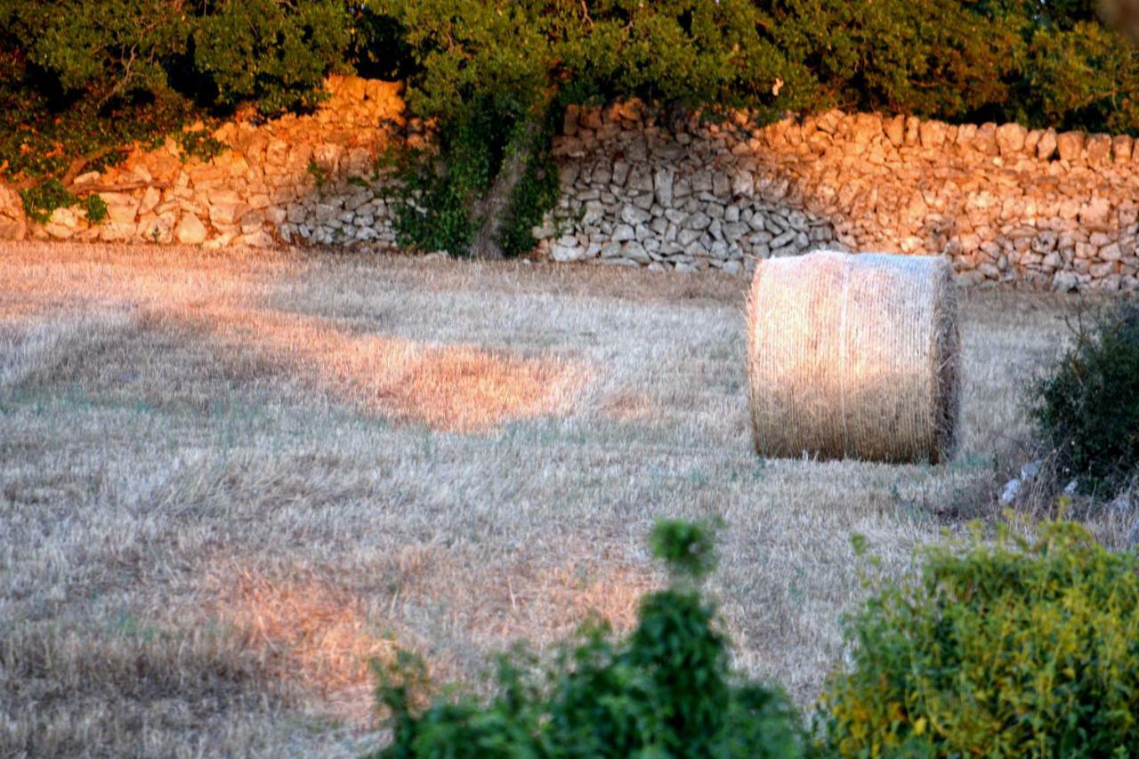 Villa Trullo Barratta à Martina Franca Extérieur photo